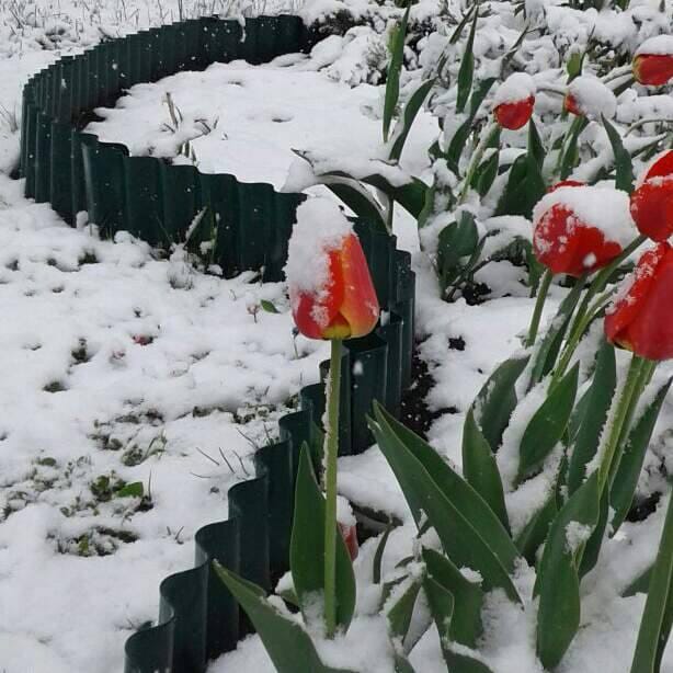 Ограждение грядки Волна зимой в Уфе