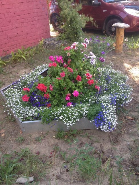 Клумба "Сота" 400 оцинкованная в Уфе